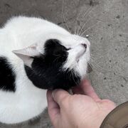 Evgeniy2707