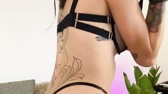 Pussycats