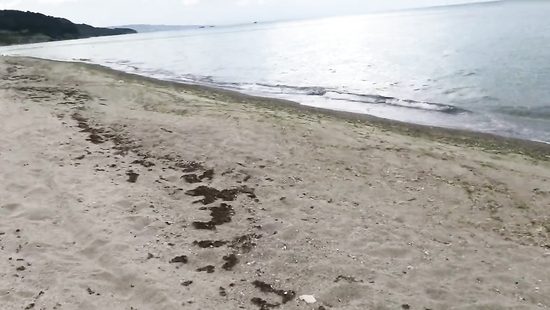 Пикапнул на пляже доступную блондинку и чпокнул её в рот и попку